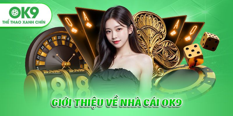 Một vài thông tin giới thiệu tổng quan về địa chỉ cá độ OK9