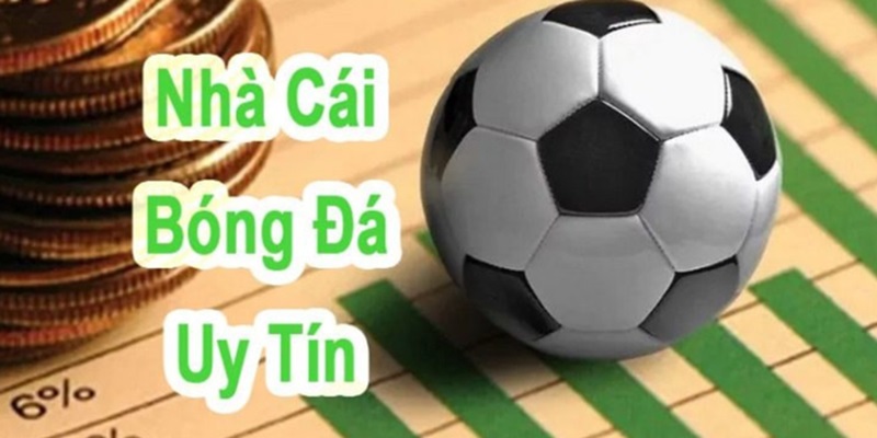 Vai trò thể loại kèo với nhà cái cá cược bóng đá