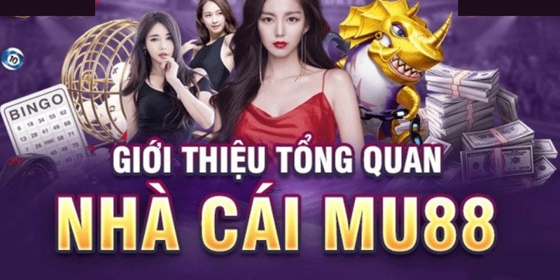 Thương hiệu đẳng cấp hàng đầu thị trường đổi thưởng Châu Á