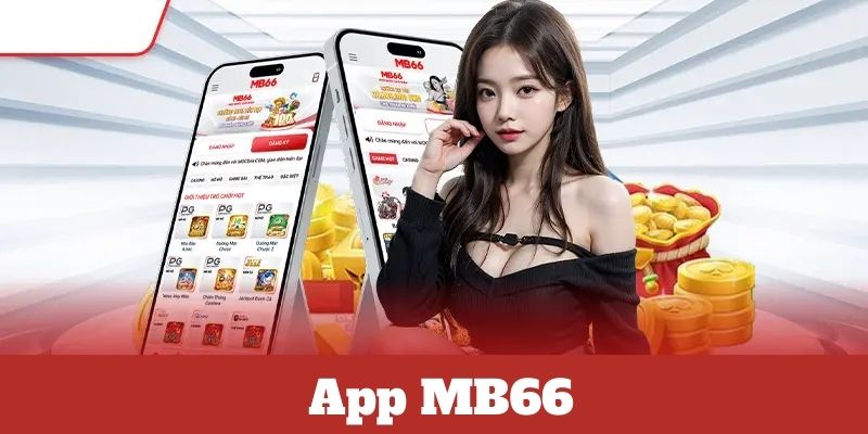 Quy trình tải app cho điện thoại Android được hướng dẫn kỹ càng